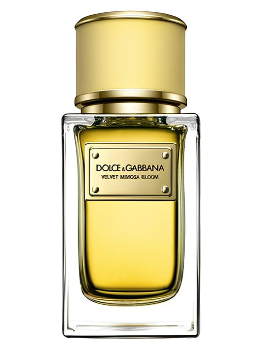 Velvet Mimosa Bloom Dolce&Gabbana for women 100ML