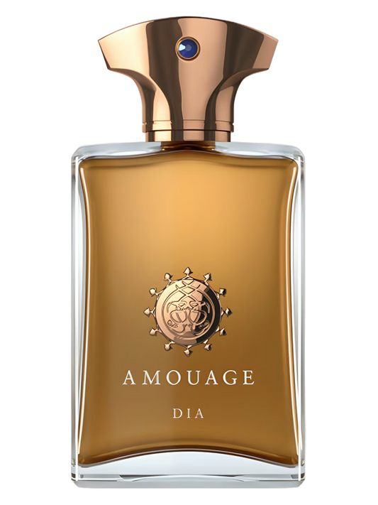 Dia Man Amouage for men 100ML
