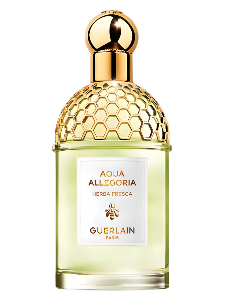 Aqua Allegoria Herba Fresca Guerlain for women and men 75ML