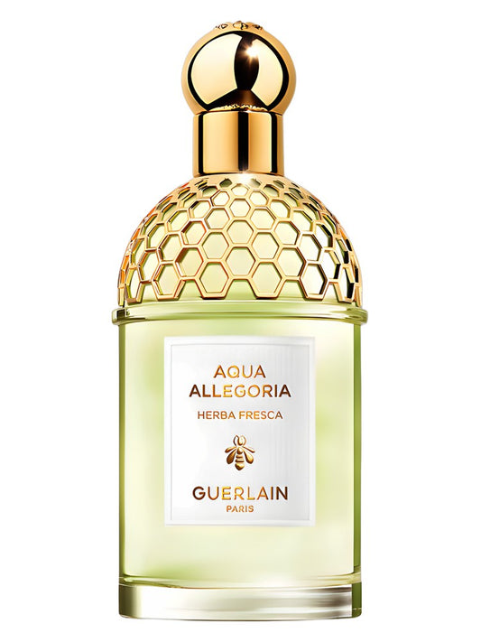 Aqua Allegoria Herba Fresca Guerlain for women and men 75ML
